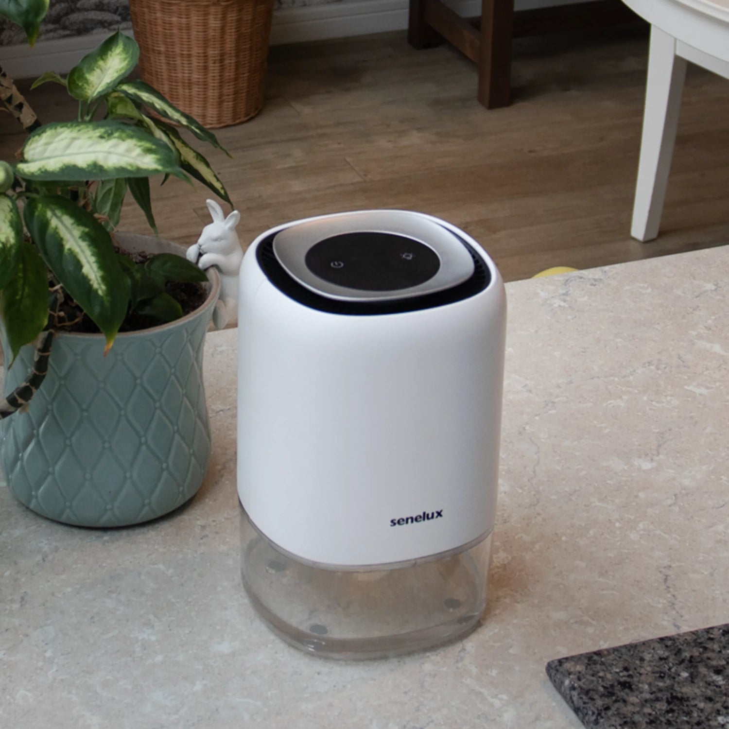 A photo showing the Senelux Q4 home dehumidifier sitting on a marble effect kitchen counter with a plant next to it