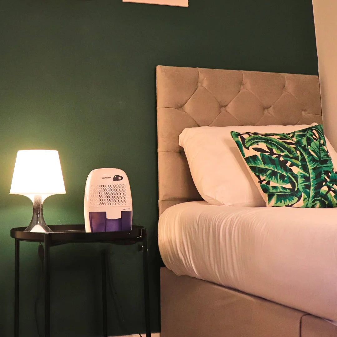 A mini dehumidifier on a black table near a lamp with a bed on the right hand side of the dehumidifer