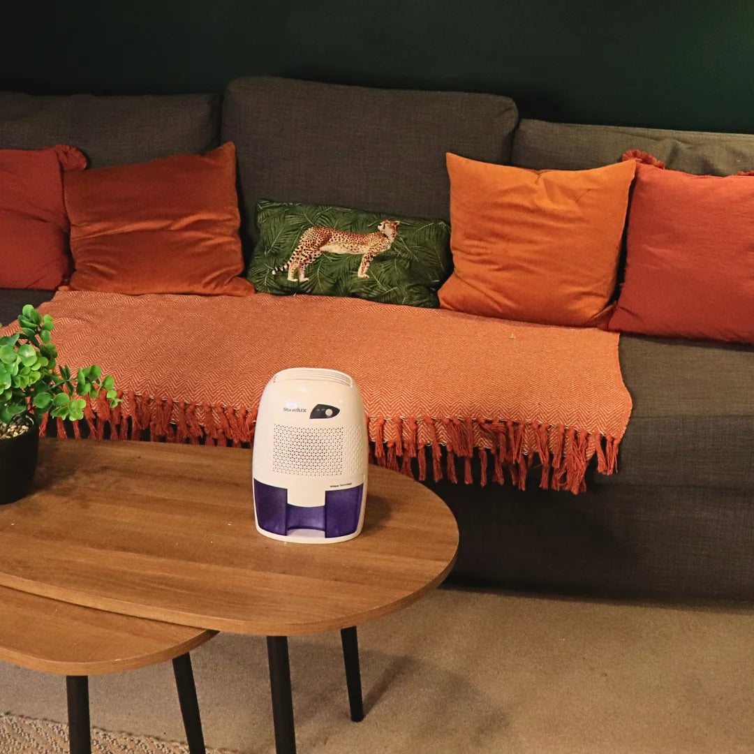 Xrow dehumidifier on a table near a sofa in a brightly coloured living room