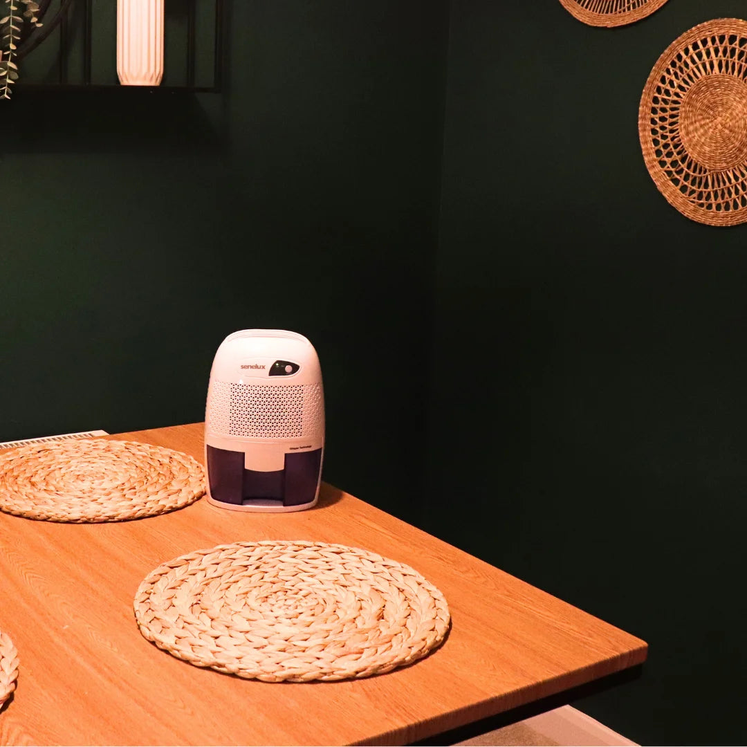 The Xrow mini dehumidifier on a table against a dark green wall resting on a light wood table